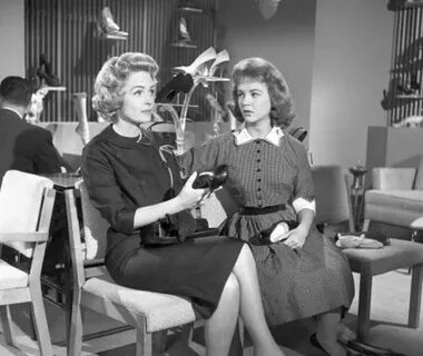 Donna Reed & Shelley Fabares - Sitcoms Online Photo Gallerie