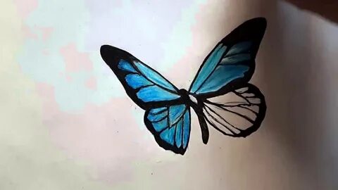 How to draw butterfly - YouTube