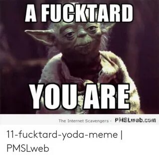 A FUCKTARD YOU ARE the Internet Scavengers PMSLuebcom 11-Fuc