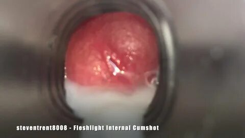 Fleshlight internal