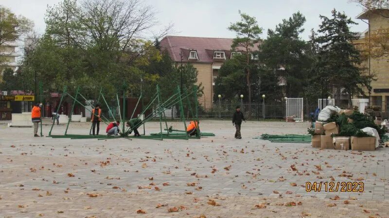 Тюльпан Джемете