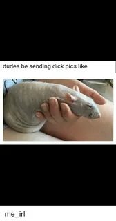 🐣 25+ Best Memes About Dudes Be Sending Dick Pics Like Dudes