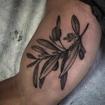 JᎾᎦEPH BRYCE on Instagram: "Olive branch on the arm" Olive t
