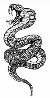 Realistic Snake Head Drawing - Ð¤Ð¾Ñ‚Ð¾ Ð±Ð°Ð·Ð°