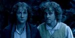 Pippin and Merry - Merry and Pippin Photo (7669632) - Fanpop