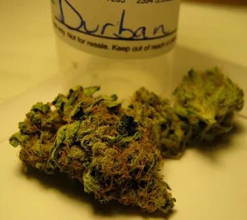 Durban Poison weed The Cannabis Lounge