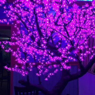 #aesthetic #purple #tree #lights Purple aesthetic, Purple wa