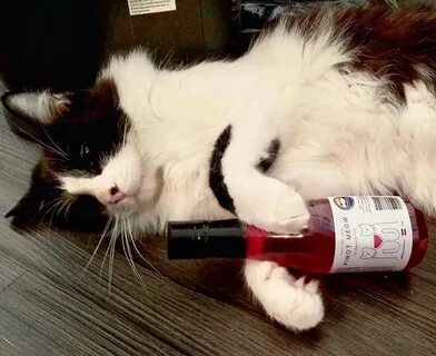 Apollo Peak Wine For Cats And Dogs - Shark Tank Products