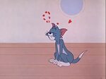 Tom And Jerry Love - Latest News Update