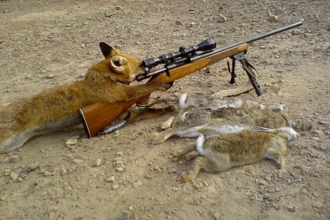 Funny hunting for hares free image download