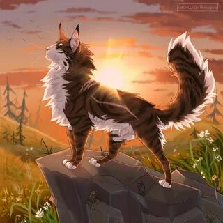 Sunrise by Cat-With-Horns Warrior cats art, Warrior cat draw