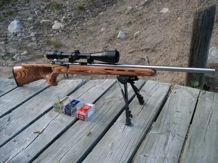 How To Choose A Good Scope For 17HMR - Hunting Note