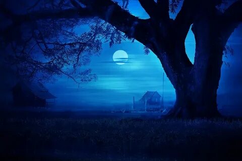 nature, Landscape, Blue, Moon, Night, Trees, Grass, Hut, Mis