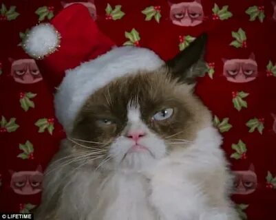 Grumpy Cat Christmas Latest Memes - Imgflip