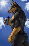 FurrTrax - ely's Profile Page