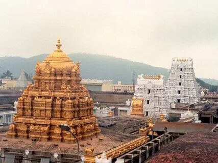 AP: 4.6 lakh special darshan tickets sold by Tirumala board