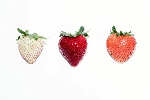 How Driscoll’s Is Hacking the Strawberry of the Future - Blo