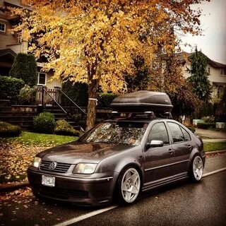 Autumn photoshoot #jettagli #vdub #stanced #camber #poke #3S