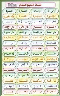 أسماء المدينة المنورة