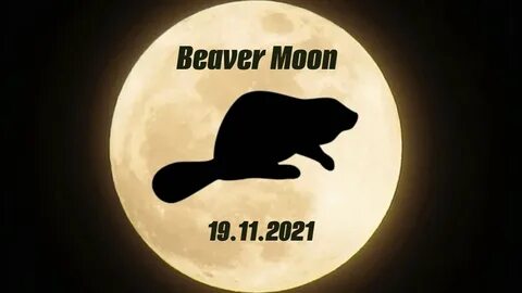Бобровая Луна" (Beaver Moon) 19 ноября 2021 года: когда и ка