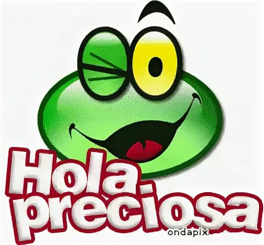 Hola Preciosa Wink GIF - Hola Preciosa Wink Frog - Discover 