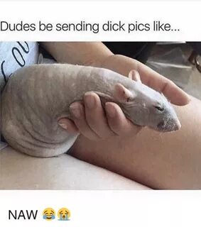Dudes Be Sending Dick Pics Like NAW 😂 😭 Dick Pics Meme on aw