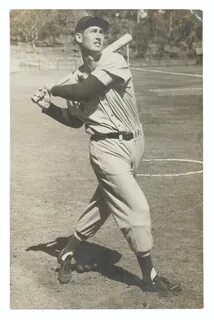 TED WILLIAMS PHOTOGRAPH, Christie’s