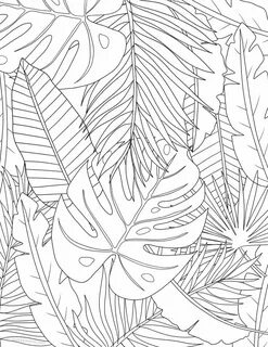 Rainforest Leaves Coloring Pages