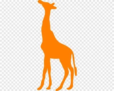 Free download Shape Northern giraffe graphics, shape, mammal