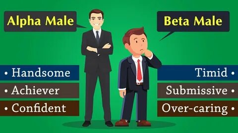 Beta Vs Alpha Male (are they real, what about females?) - Yo