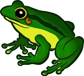Green Frog Clipart Froglet - Frog Clipart - Png Download - F