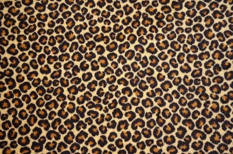 Dean Leopard Animal Print 5' x 7' Area Rug Animal print carpet, Animal print, Ca