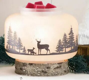 Natural Wonder Scentsy Warmer Of The Month Tanya Charette