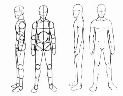 Basic Male Human Body Sketch - Download Free Mock-up