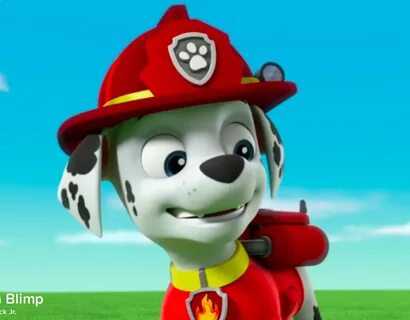 Marshall - PAW Patrol litrato (40580198) - Fanpop - Page 11