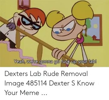 🐣 25+ Best Memes About Dexters Laboratory Meme Dexters Labor