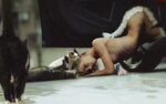 Порно с женщинами кошками (75 фото) - Порно фото голых девуш