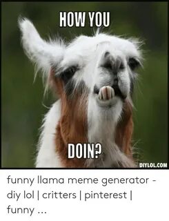 🐣 25+ Best Memes About Funny Llama Funny Llama Memes