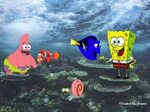 Playing with Fish Spongebob Wallpapers , here you can see Pl