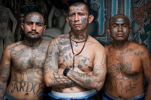 Study on Central American gangs finds rehabilitation possibl
