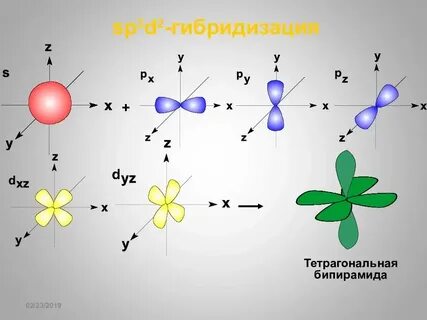 16.02.2019 Кафедра фундаментальной и клинической биохимии Те