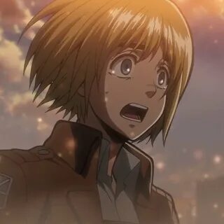 daily armin no Twitter