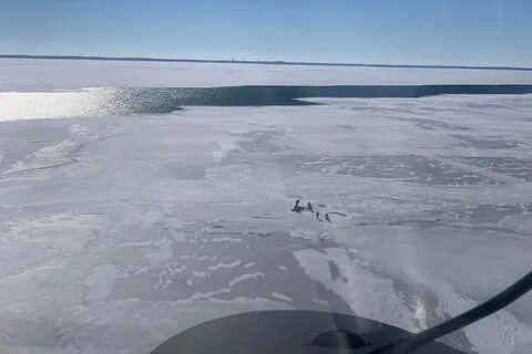 USCG Air Station Detroit rescues 18 people from ice floe on 