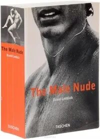 The Male Nude - David Leddick