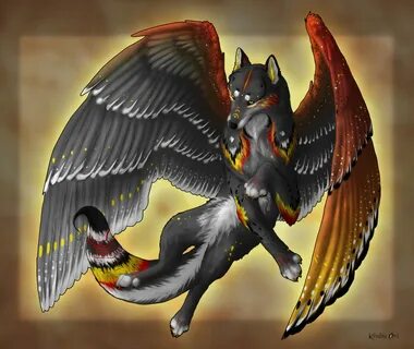 Images Of Female Anime Wolf With Wings