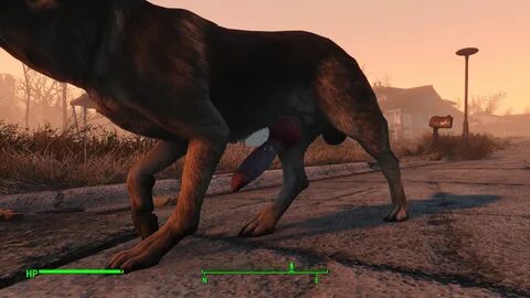 enhanced dogmeat genitals edit - Downloads - Fallout 4 Adult