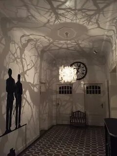 The Chandelier That Produces a Shadow Forest of Wild Trees