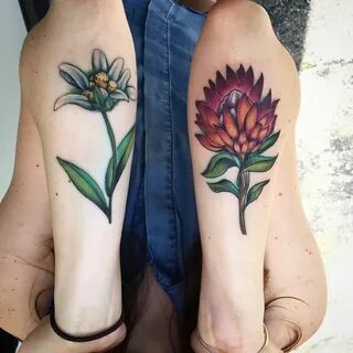 Flowers like woah! #winterhalo #atx Edelweiss tattoo, Reddit