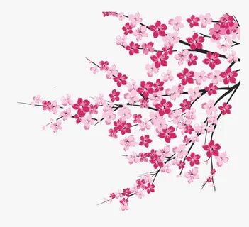 64 Cherry Blossom Tree Branch Cliparts For Your Inspiration 