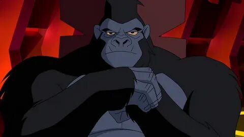 Grodd DC Animated Universe Fandom